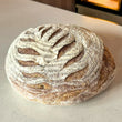 Sourdough Boule